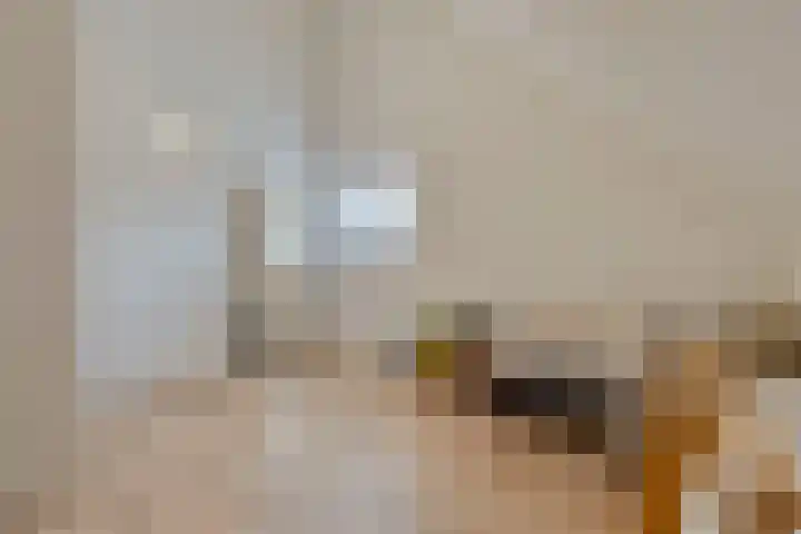 Veldjesstraat 4 Eijsden thumbnail 36