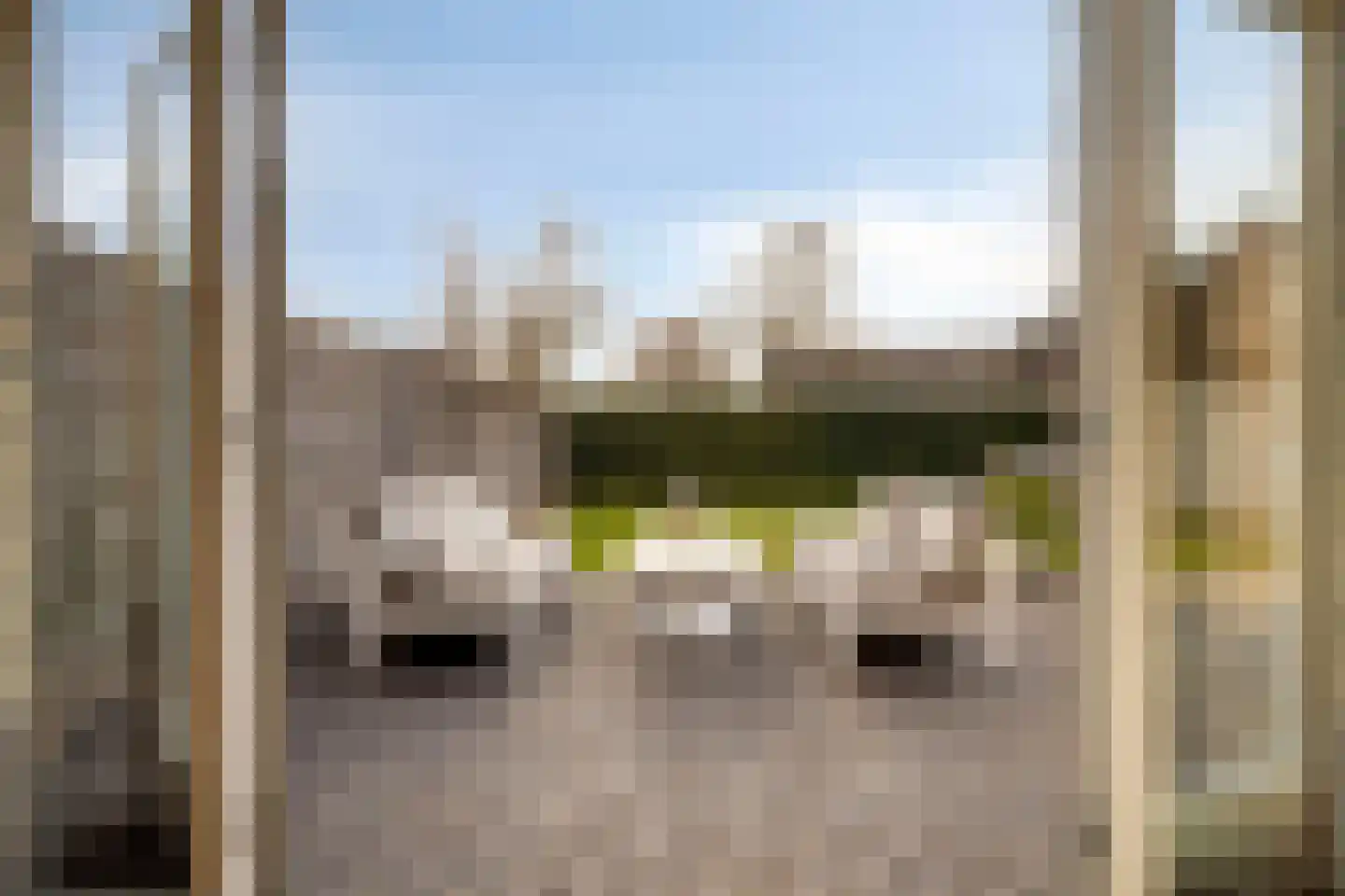 Veldjesstraat 4 Eijsden thumbnail 38