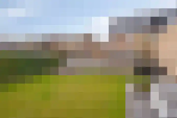 Veldjesstraat 4 Eijsden thumbnail 40
