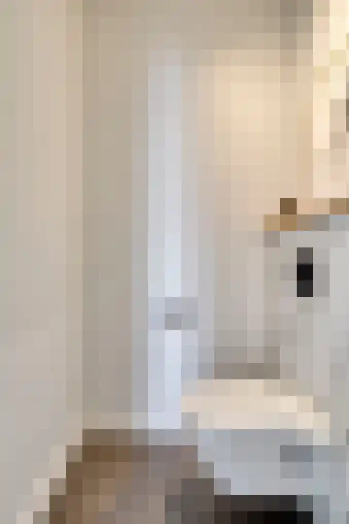 Veldjesstraat 4 Eijsden thumbnail 6