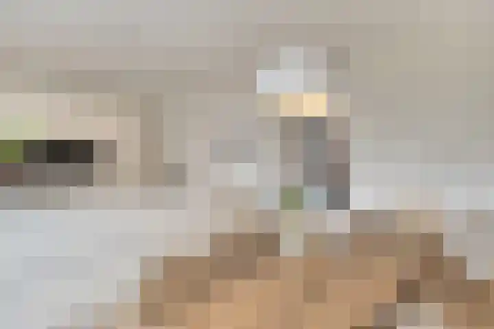 Veldjesstraat 4 Eijsden thumbnail 9