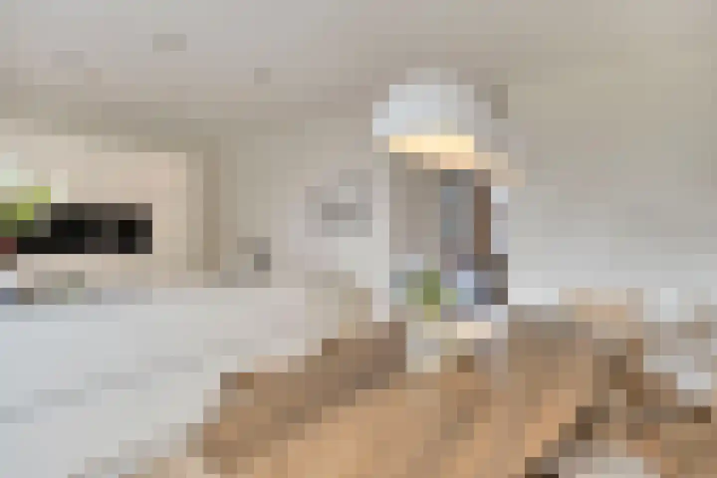 Veldjesstraat 4 Eijsden thumbnail 9