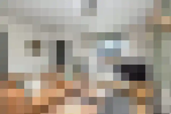 Veldkamp 132 Overdinkel thumbnail 10