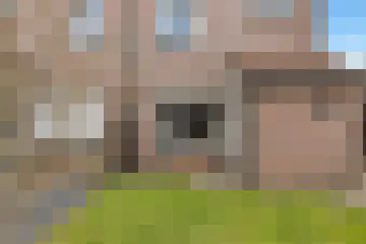 Veldkamp 132 Overdinkel foto 2