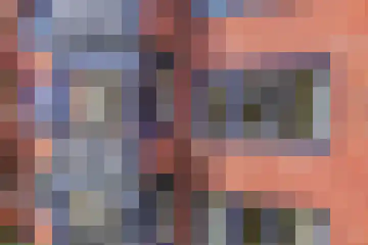 Veldkamp 132 Overdinkel thumbnail 29