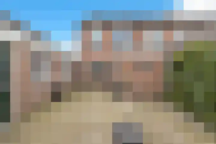 Veldkamp 132 Overdinkel thumbnail 34