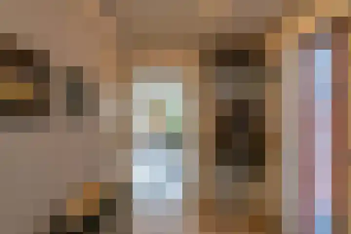 Veldkamp 132 Overdinkel thumbnail 35