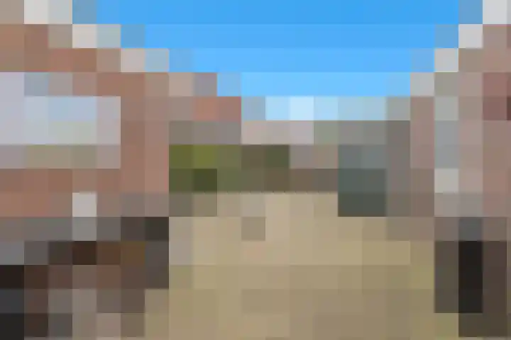 Veldkamp 132 Overdinkel thumbnail 36