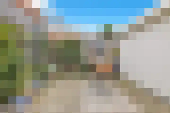 Veldkamp 132 Overdinkel thumbnail 38
