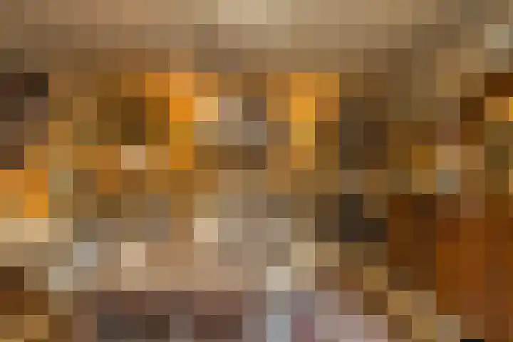 Veldkamp 132 Overdinkel thumbnail 40