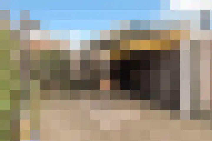 Veldkamp 132 Overdinkel thumbnail 44
