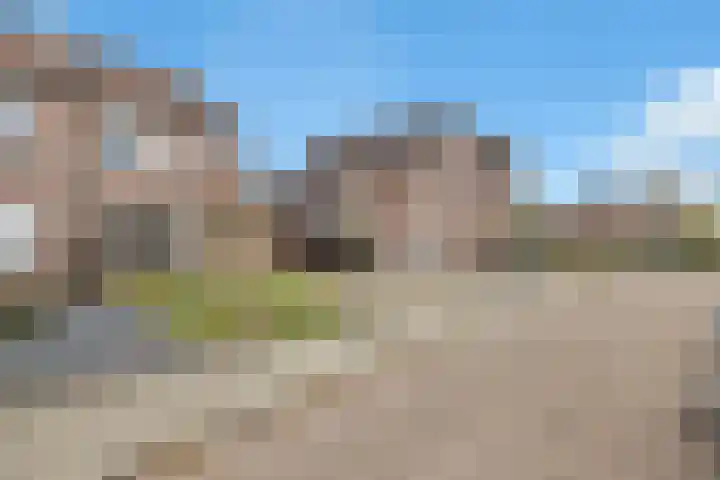 Veldkamp 132 Overdinkel thumbnail 48