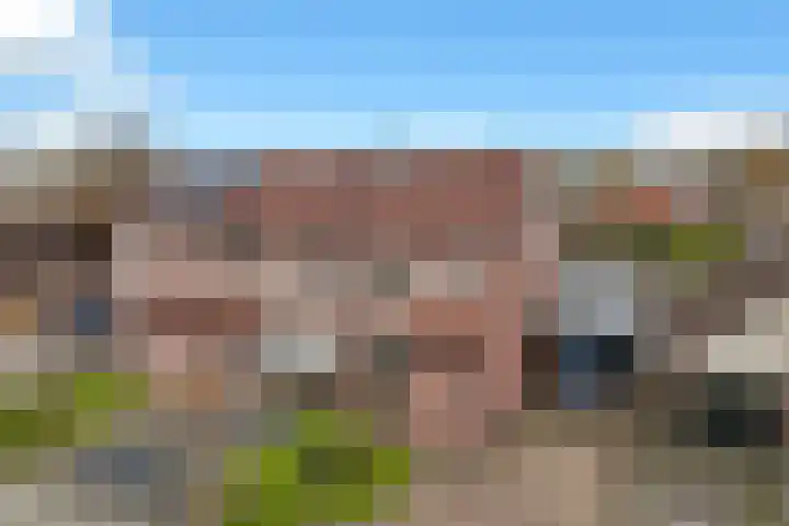 Veldkamp 132 Overdinkel thumbnail 49