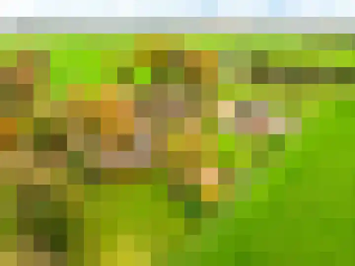 Veldkamp 132 Overdinkel thumbnail 52