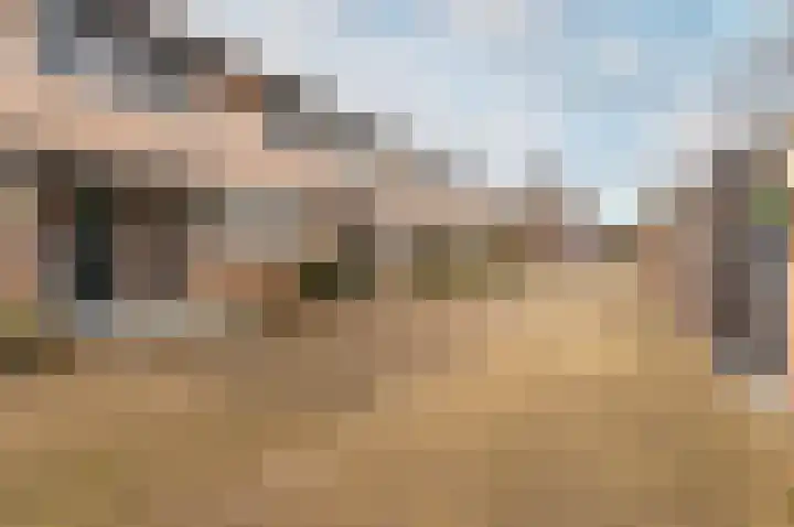 Veldkamp 14 Harderwijk thumbnail 28