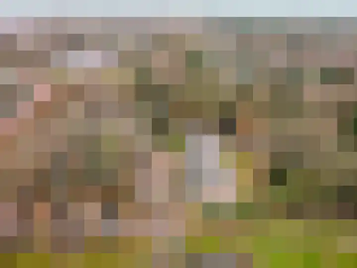 Veldkamp 14 Harderwijk thumbnail 31