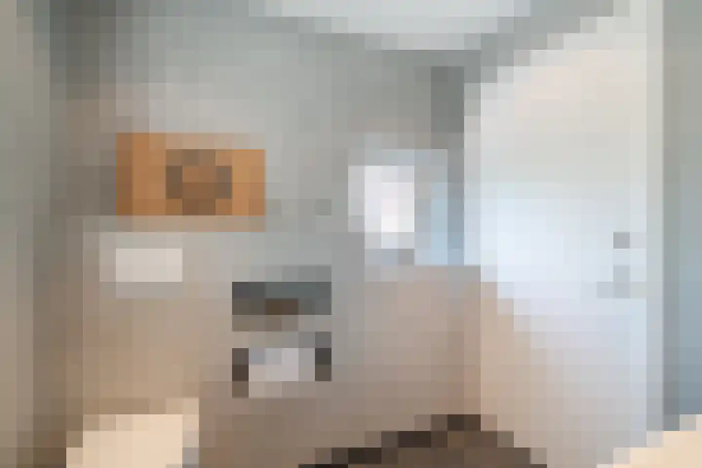 Veldkamp 15 Harderwijk thumbnail 30