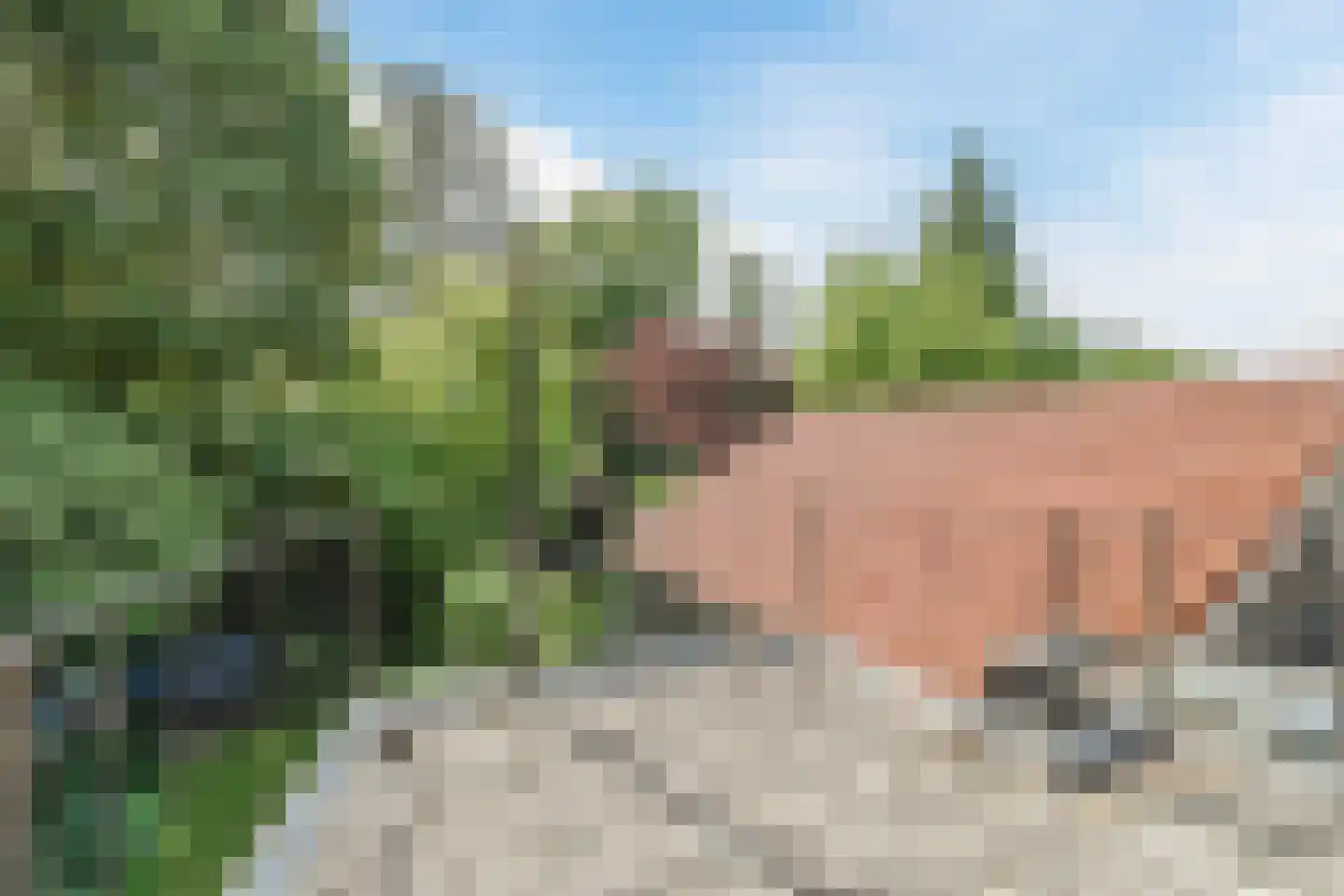 Veldkamp 15 Harderwijk thumbnail 35