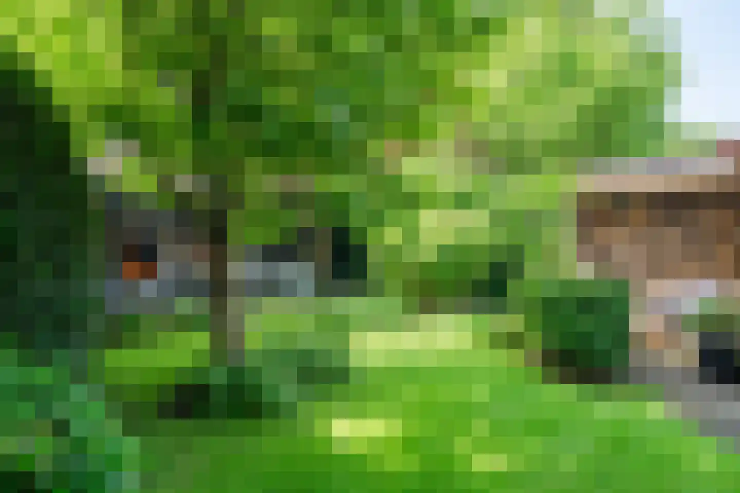Veldkamp 15 Harderwijk thumbnail 50