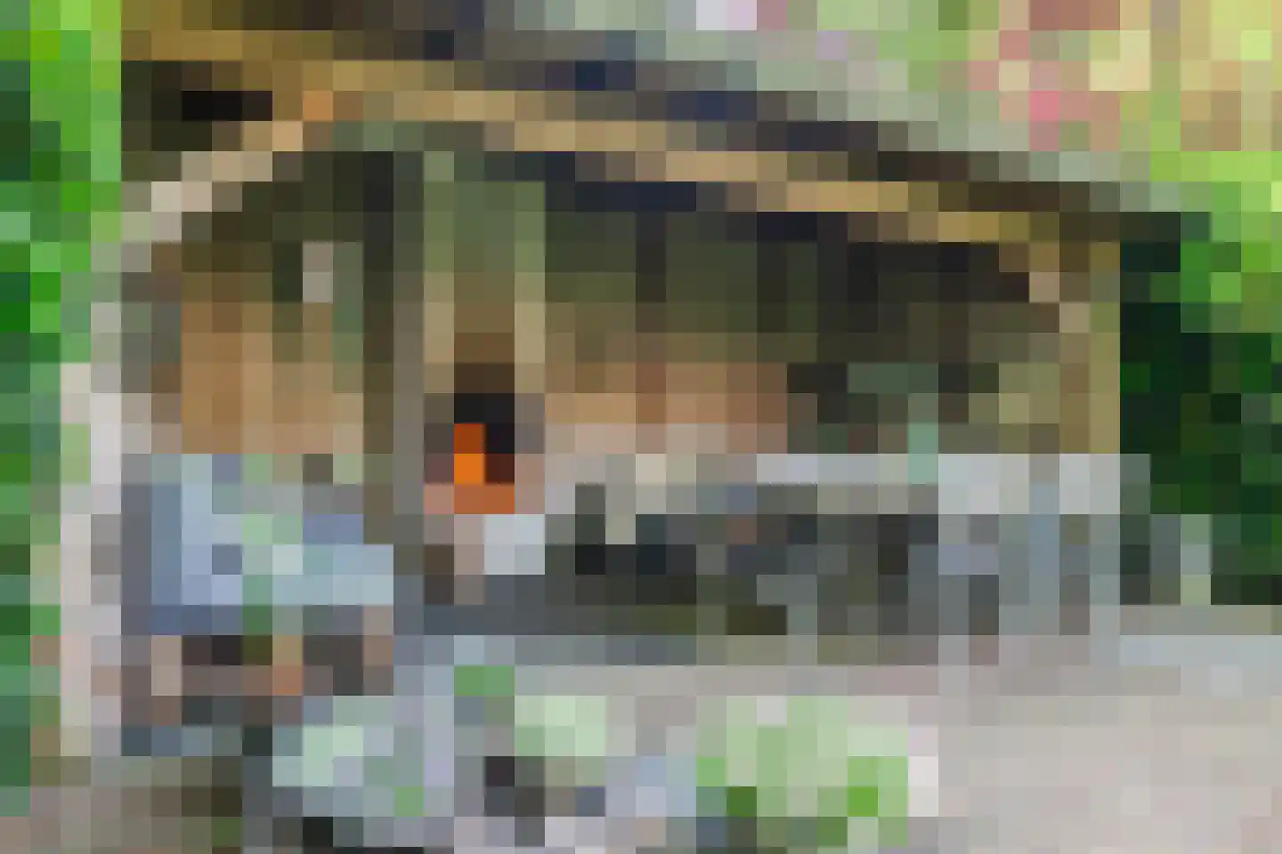 Veldkamp 15 Harderwijk thumbnail 51