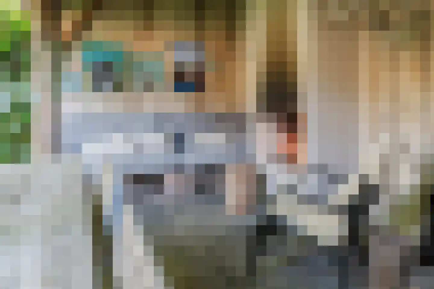 Veldkamp 15 Harderwijk thumbnail 52