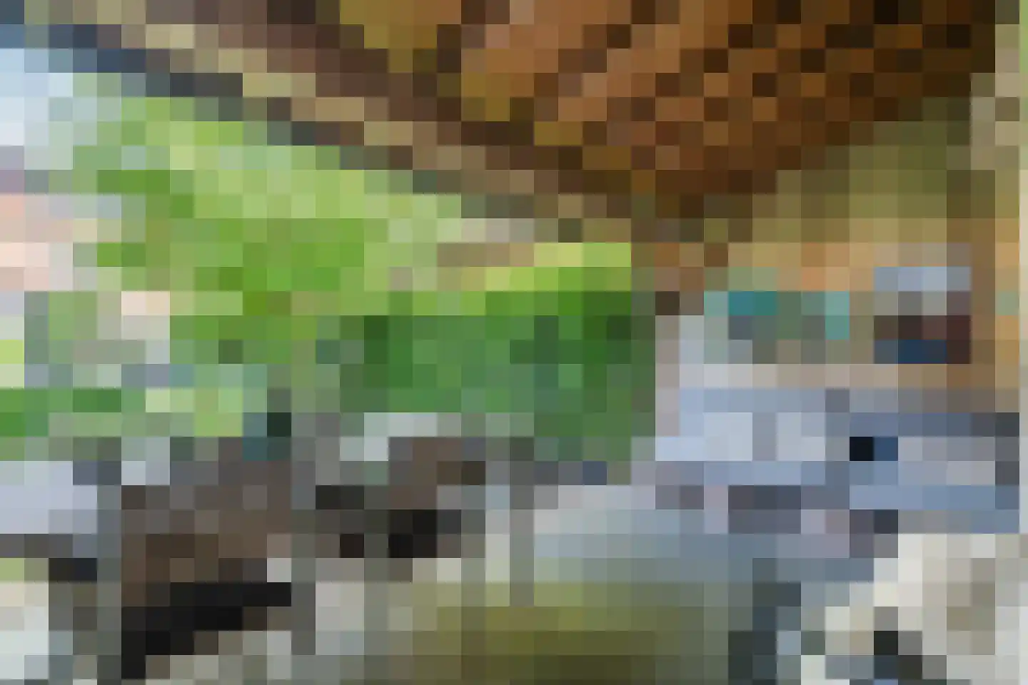 Veldkamp 15 Harderwijk thumbnail 53