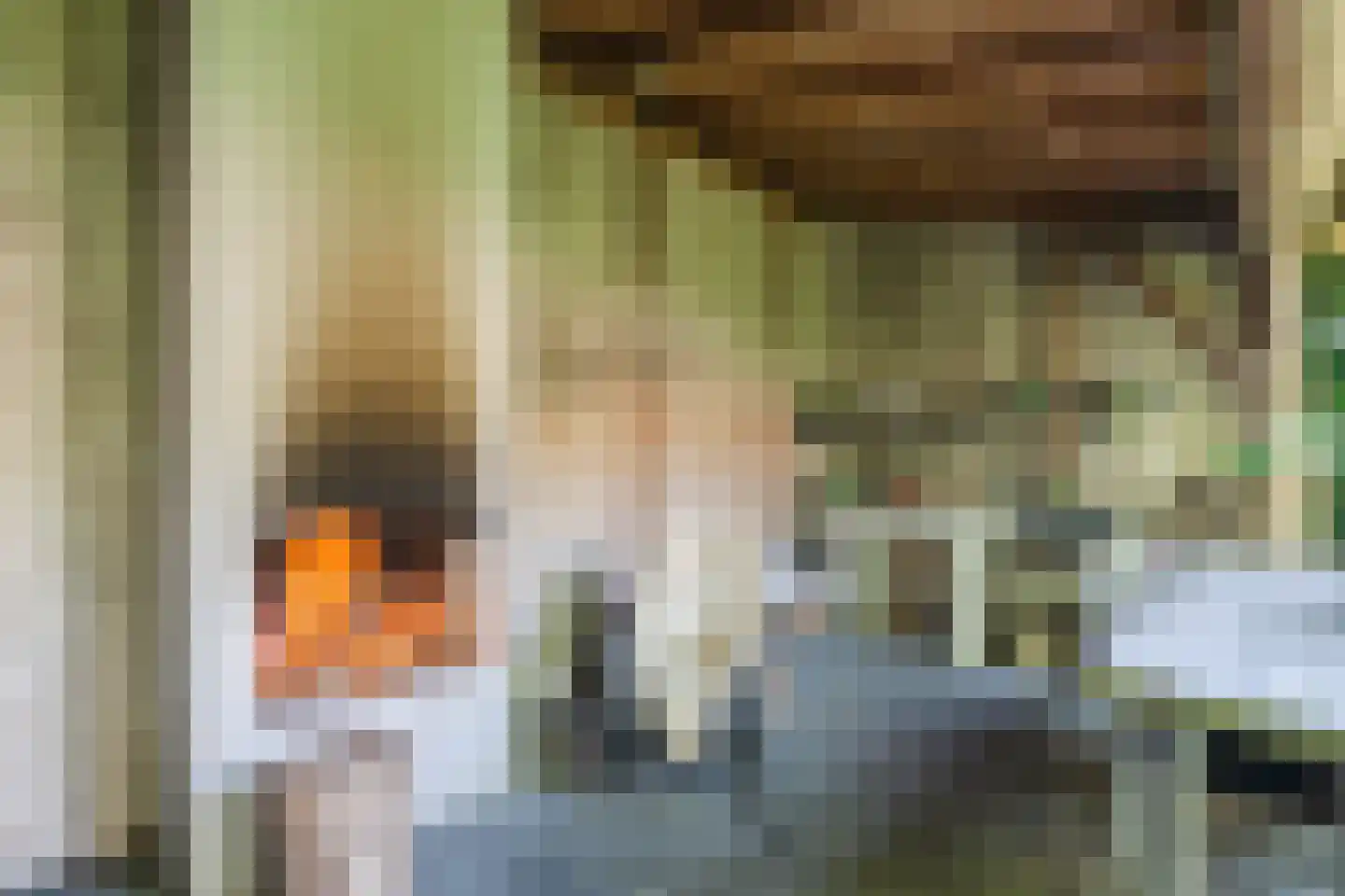 Veldkamp 15 Harderwijk thumbnail 54