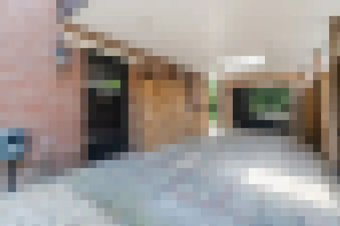 Veldkamp 15 Harderwijk thumbnail 55