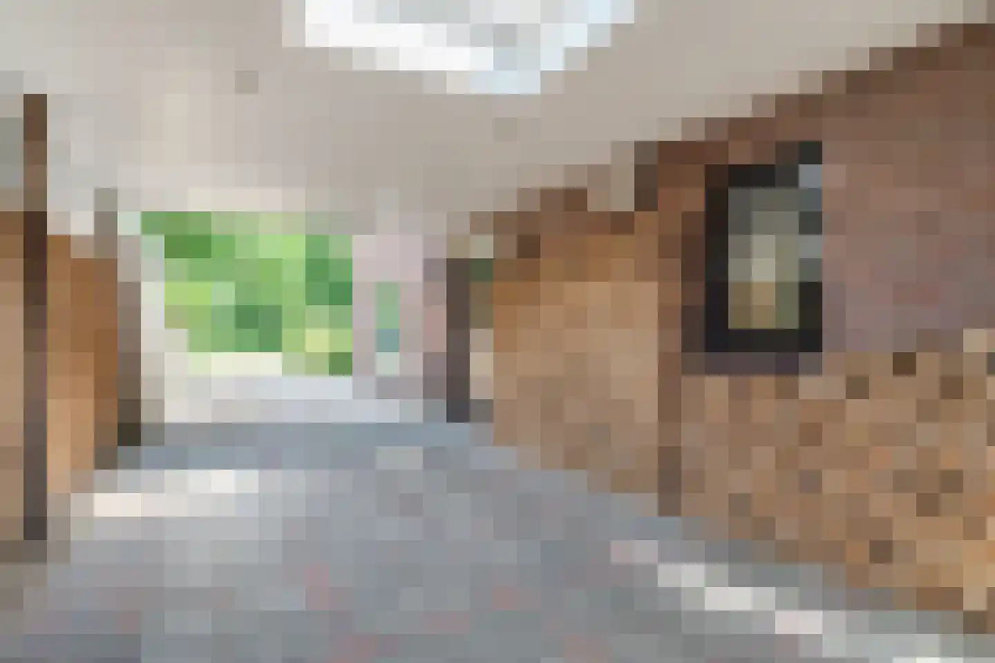 Veldkamp 15 Harderwijk thumbnail 56