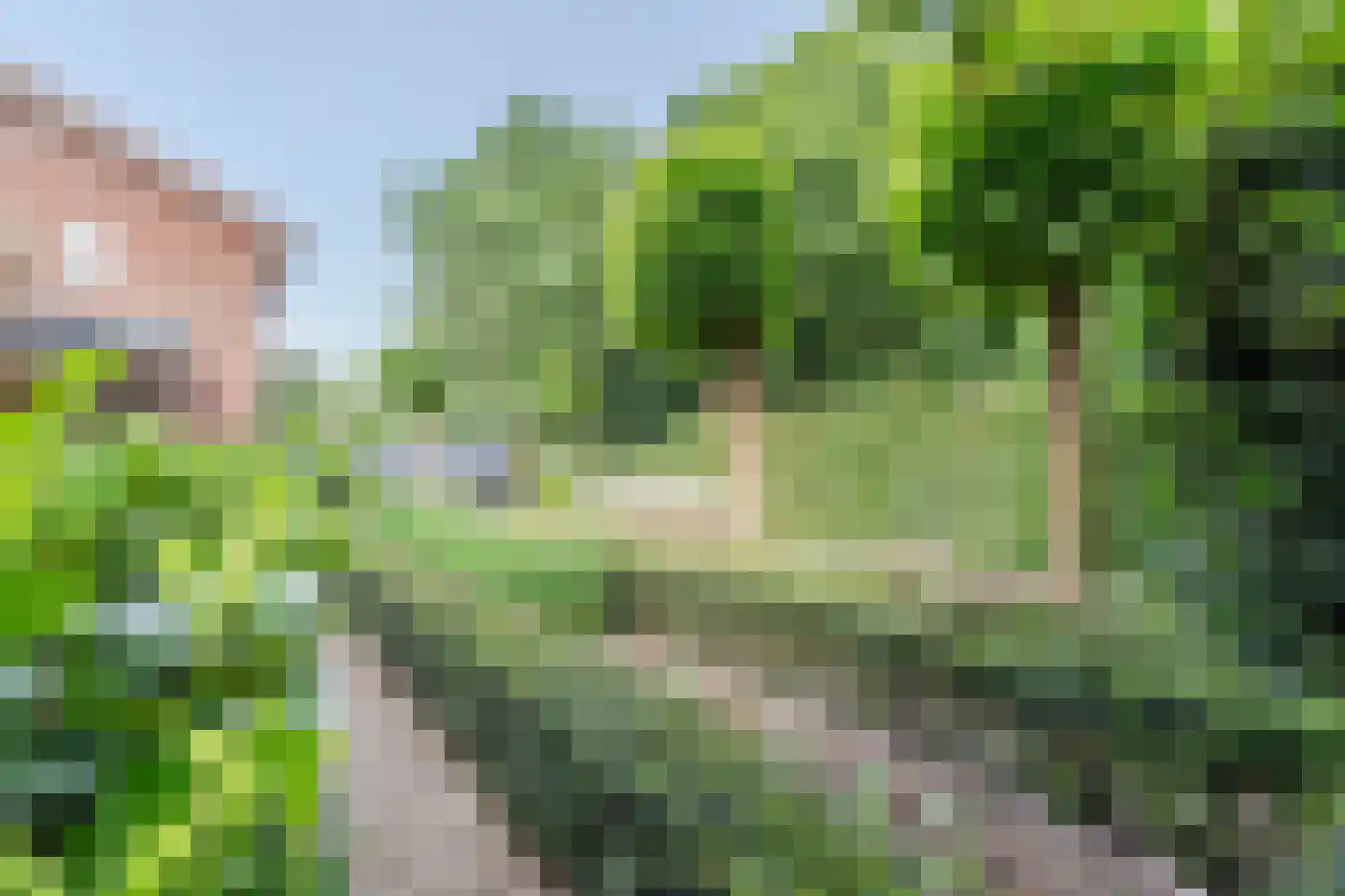 Veldkamp 15 Harderwijk thumbnail 59