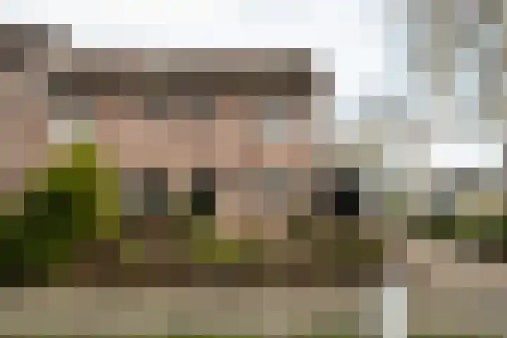 Veldkamp 2 Overdinkel