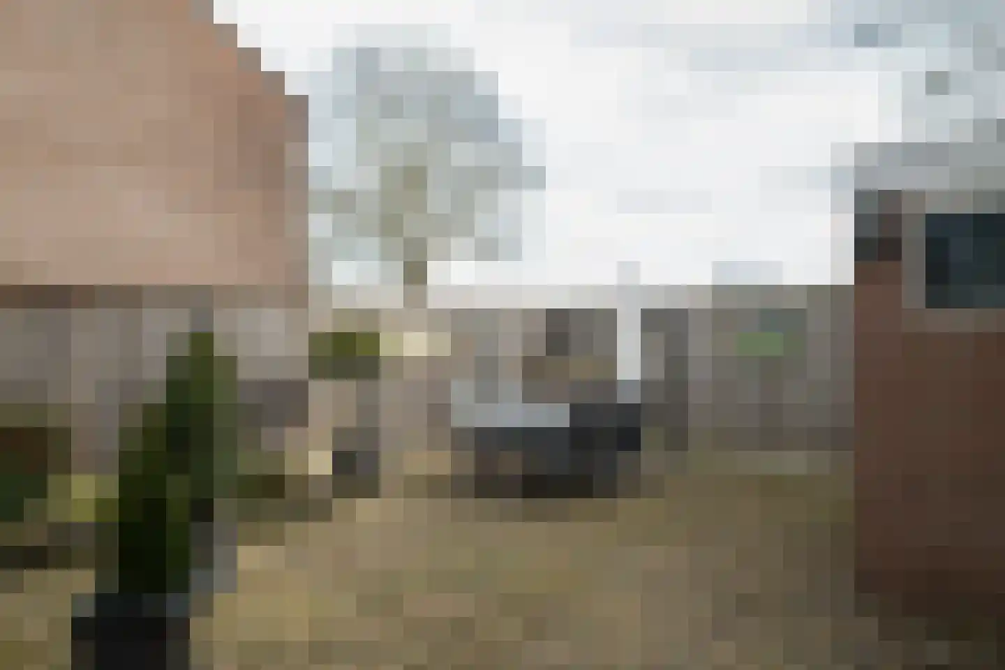 Veldkamp 2 Overdinkel thumbnail 25