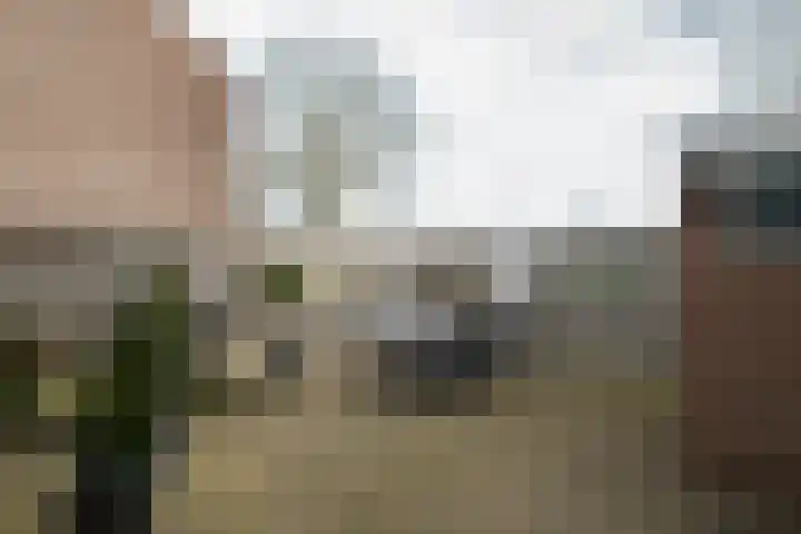 Veldkamp 2 Overdinkel thumbnail 25