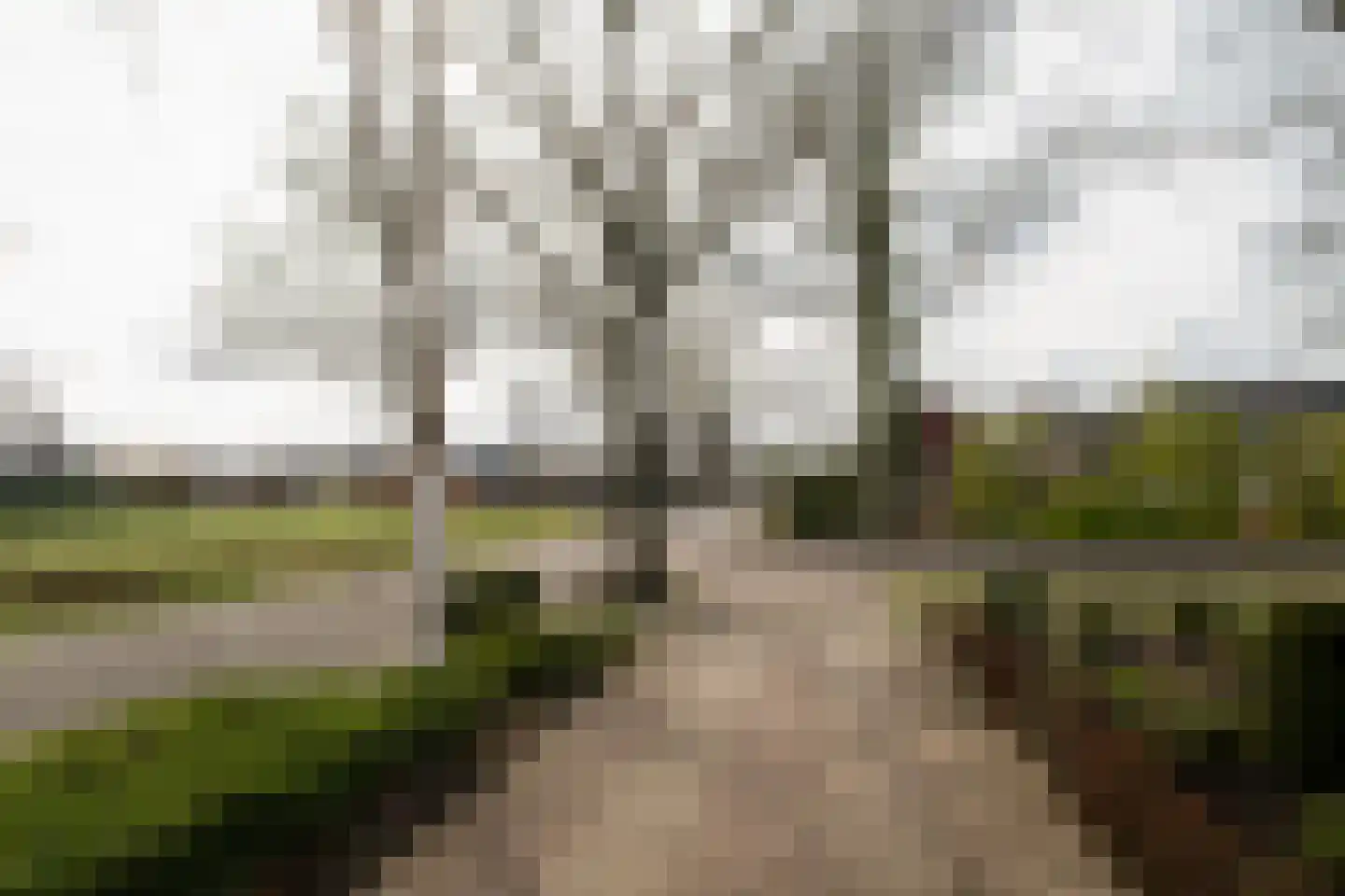 Veldkamp 2 Overdinkel thumbnail 27