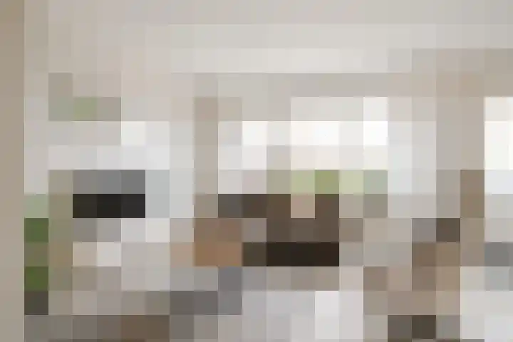 Veldkamp 2 Overdinkel thumbnail 8