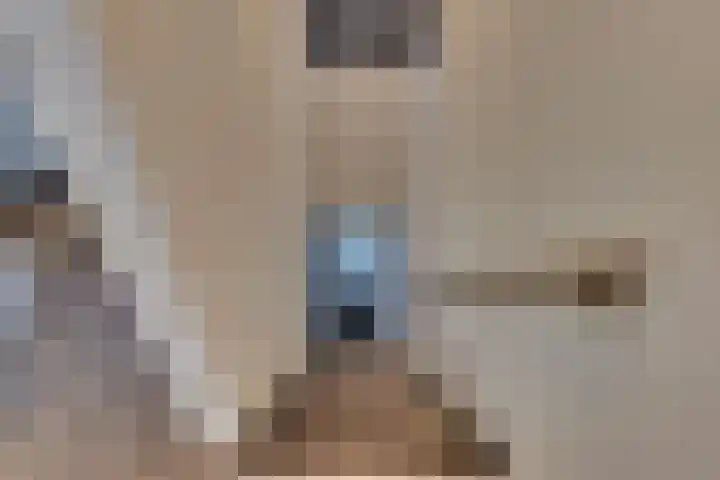 Veldkamp 24 Harderwijk thumbnail 11
