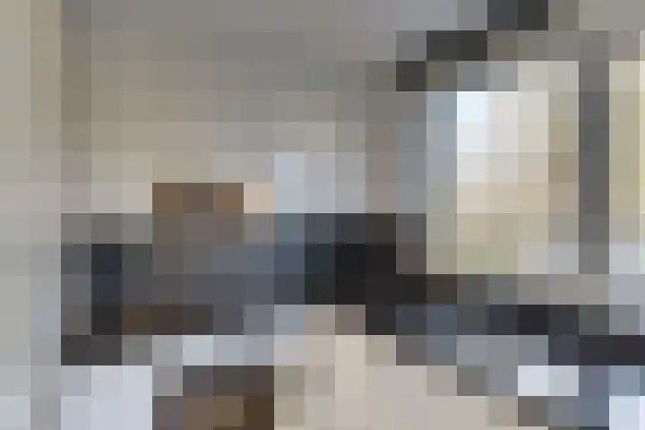 Veldkamp 24 Harderwijk thumbnail 14