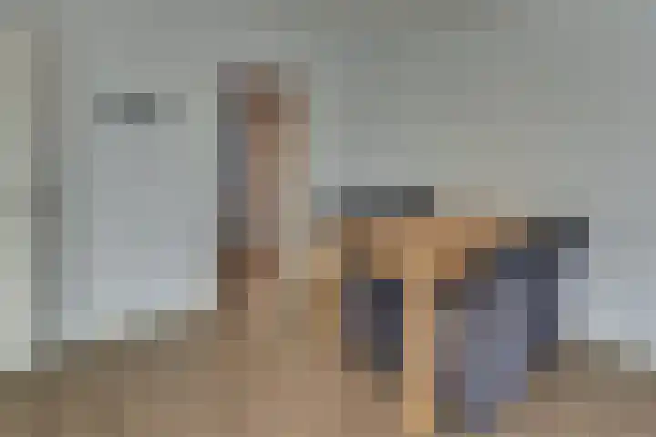 Veldkamp 24 Harderwijk thumbnail 18