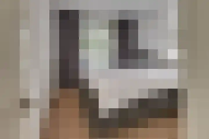 Veldkamp 24 Harderwijk thumbnail 37