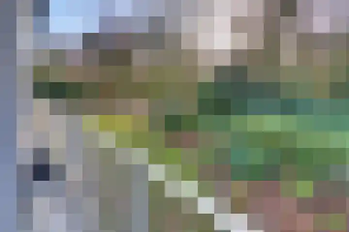 Veldkamp 24 Harderwijk thumbnail 39