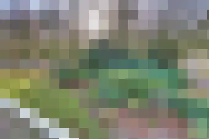 Veldkamp 24 Harderwijk thumbnail 40
