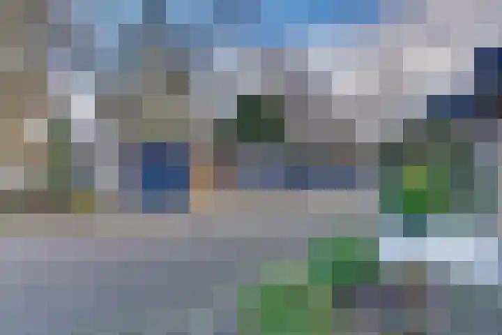 Veldkamp 24 Harderwijk thumbnail 42