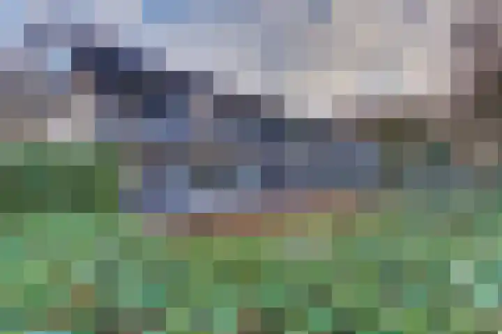 Veldkamp 24 Harderwijk thumbnail 44
