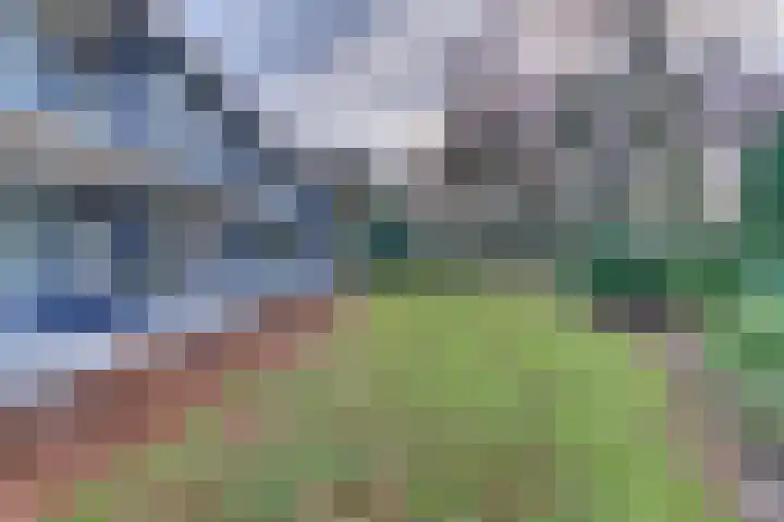 Veldkamp 24 Harderwijk thumbnail 46