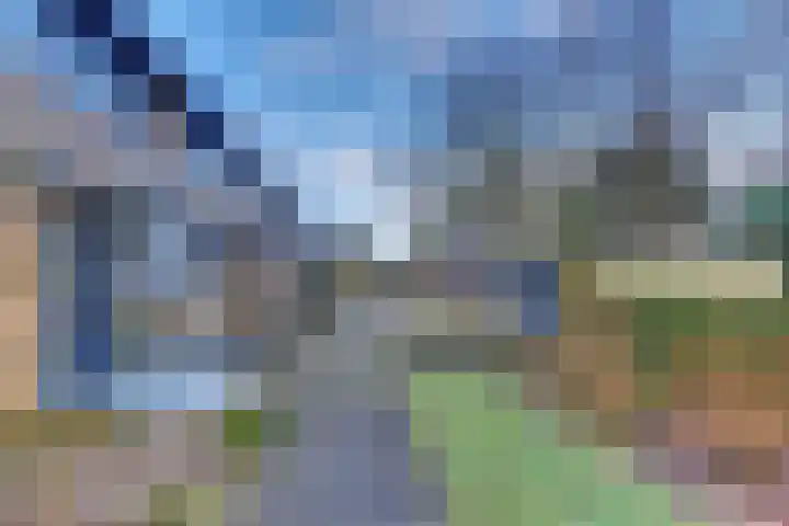 Veldkamp 24 Harderwijk thumbnail 6