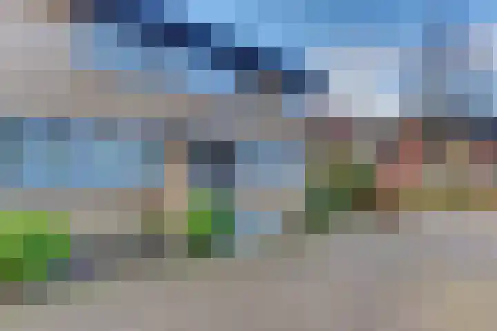 Veldkamp 24 Harderwijk thumbnail 7