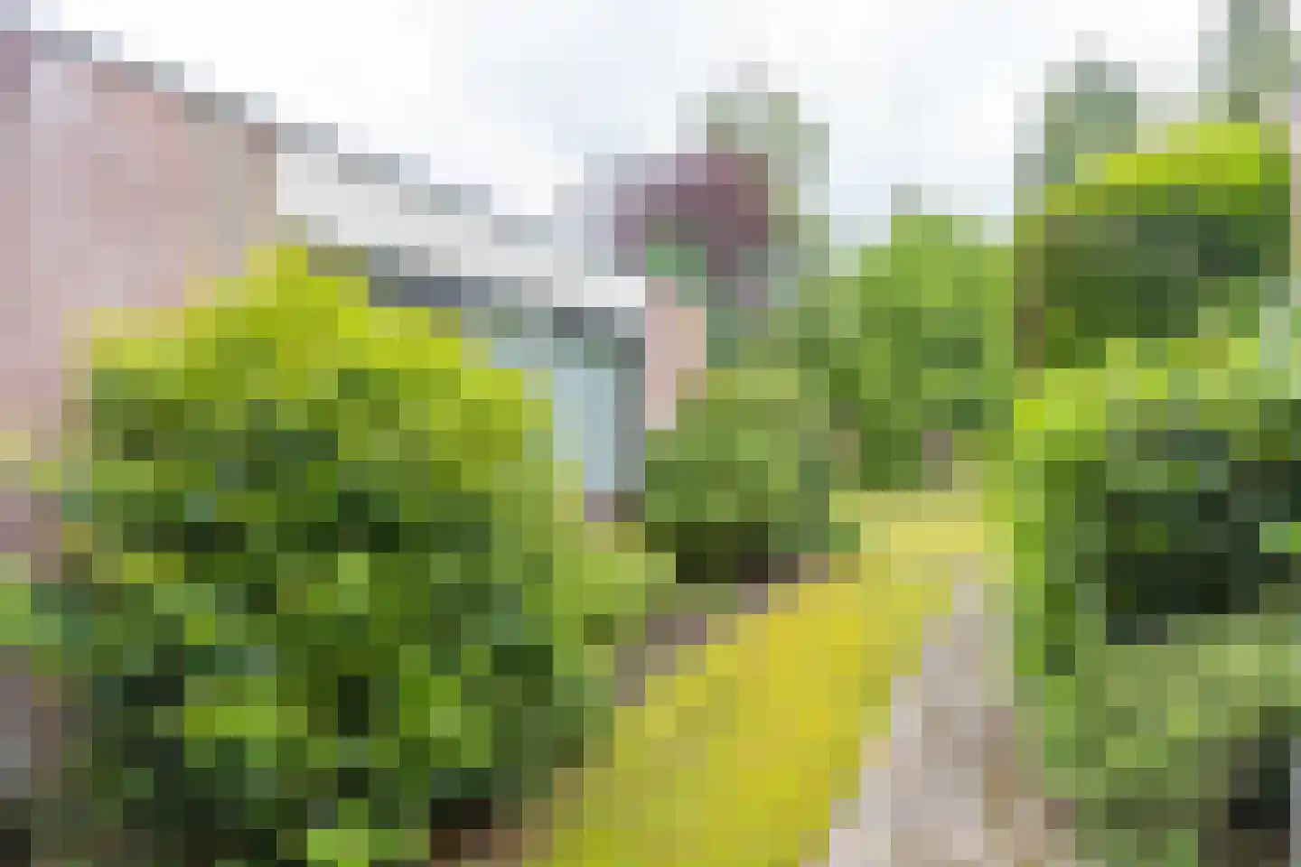 Veldkamp 4 Harderwijk thumbnail 40