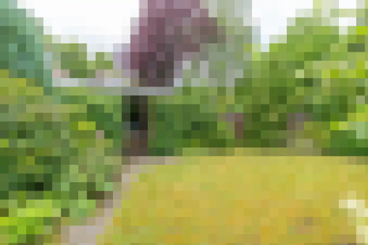 Veldkamp 4 Harderwijk thumbnail 41