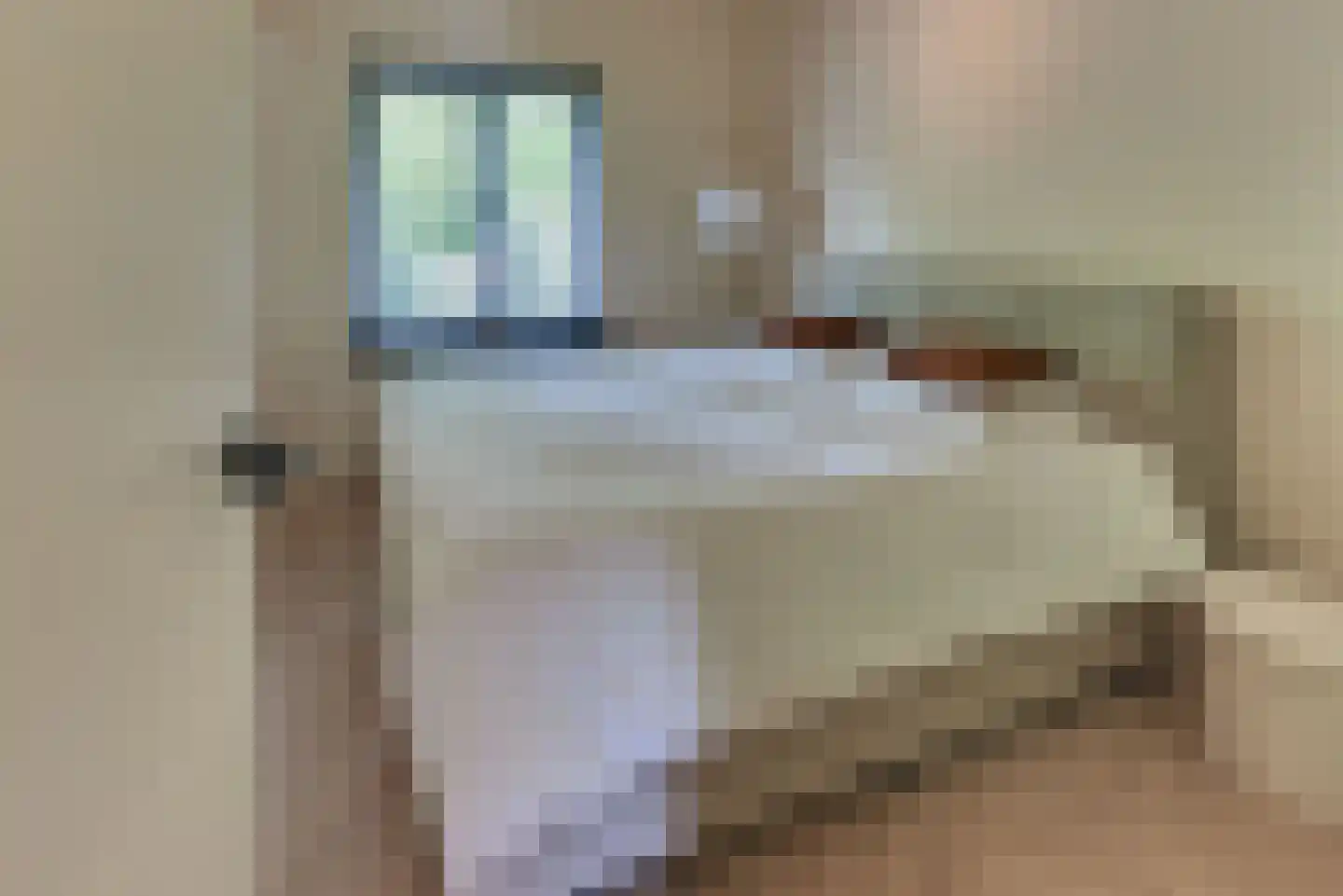 Veldkamp 42 Harderwijk thumbnail 43