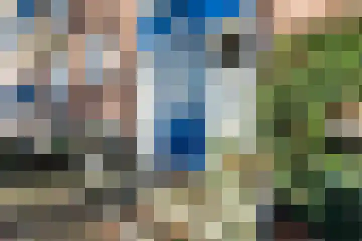Veldkamp 44 Harderwijk thumbnail 4